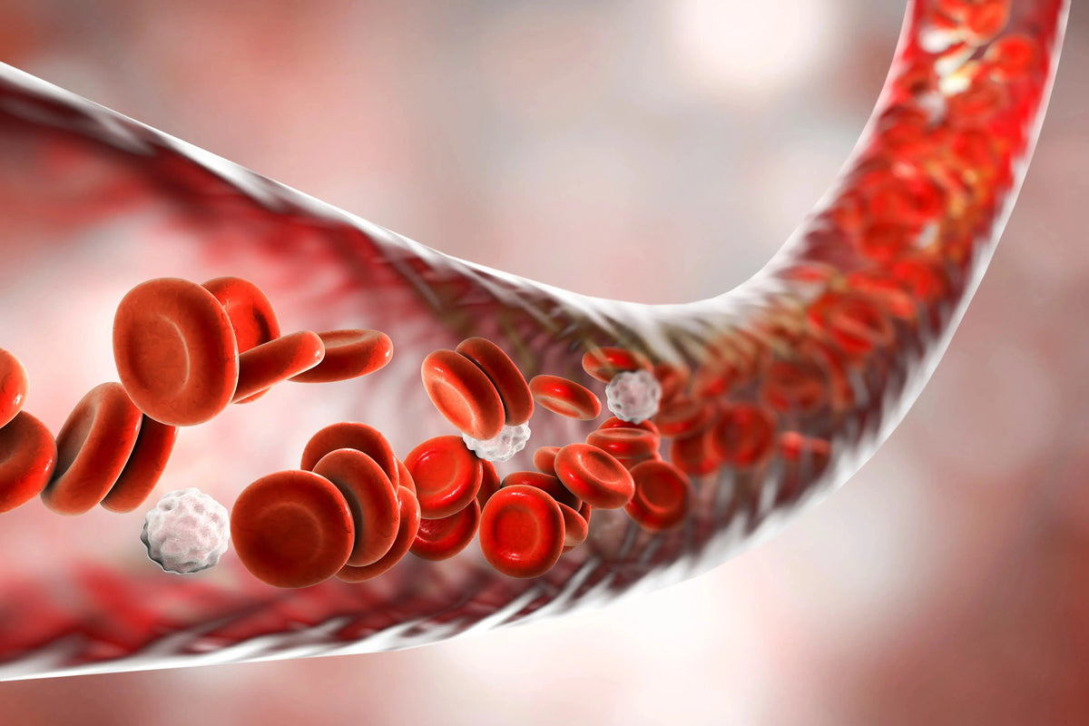 Eat These Foods and Take These Supplements For Better Heart Health
