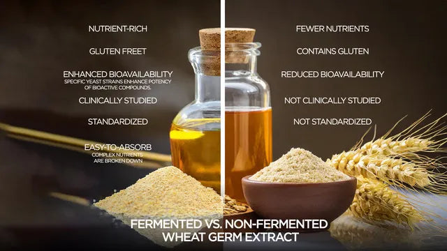 Fermented Wheat Germ Extract: A Superfood for Longevity