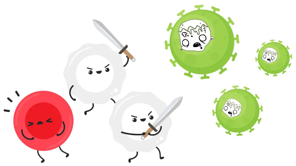 UltraVitality: A Product that’s Redefining Aging with Advanced Senescent Cell Clearance Technology