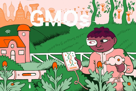 What Does Bioengineered Food Mean for Your Health?