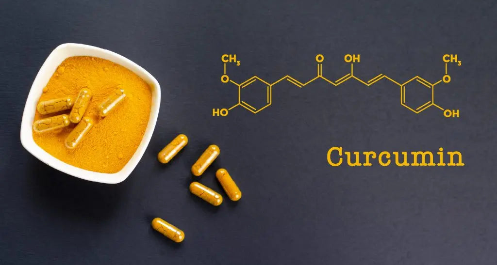 Curcumin’s Effects on Longevity
