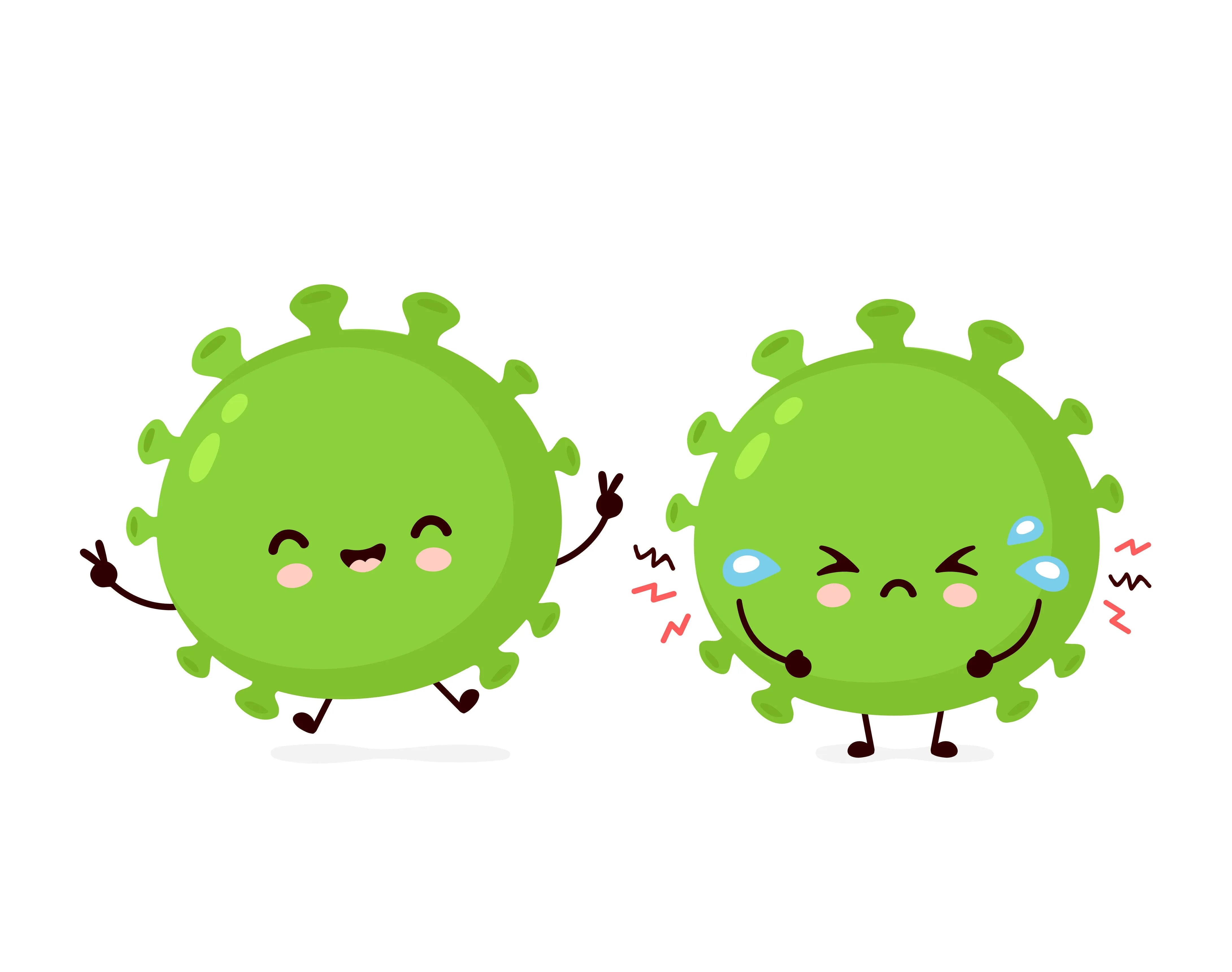 Could This “Secret Organ” Be Your Key to Ongoing Wellness?