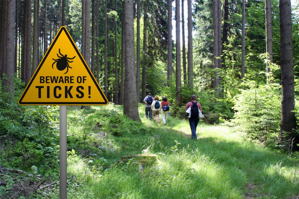 Beware of ticks in area with walkers