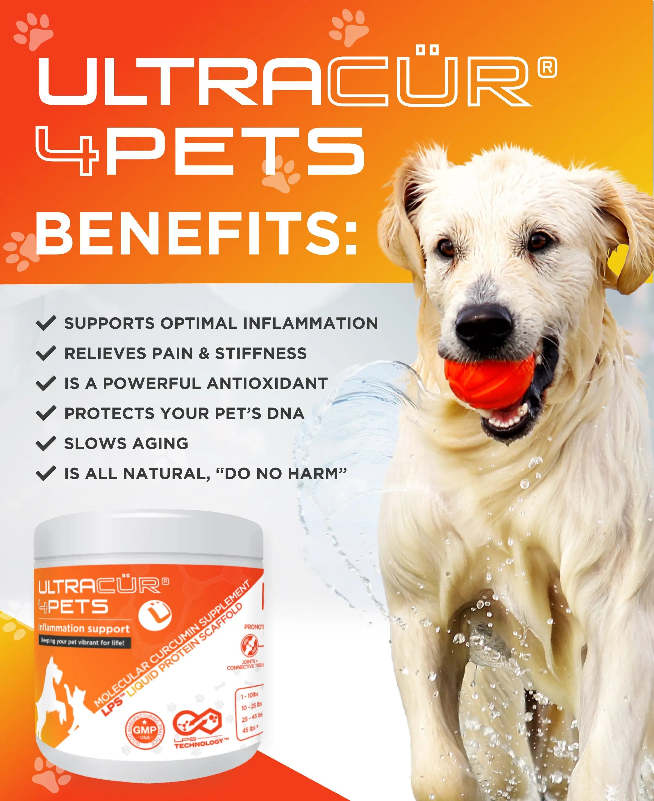 UltraCur® 4Pets™ for Dogs and Cats (Curcumin + Glucosamine + Chondroitin) Ultra Botanica