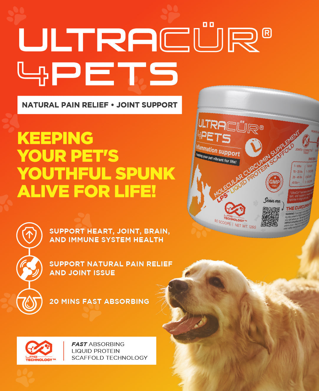 UltraCur® 4Pets™ for Dogs and Cats (Curcumin + Glucosamine + Chondroitin) Ultra Botanica