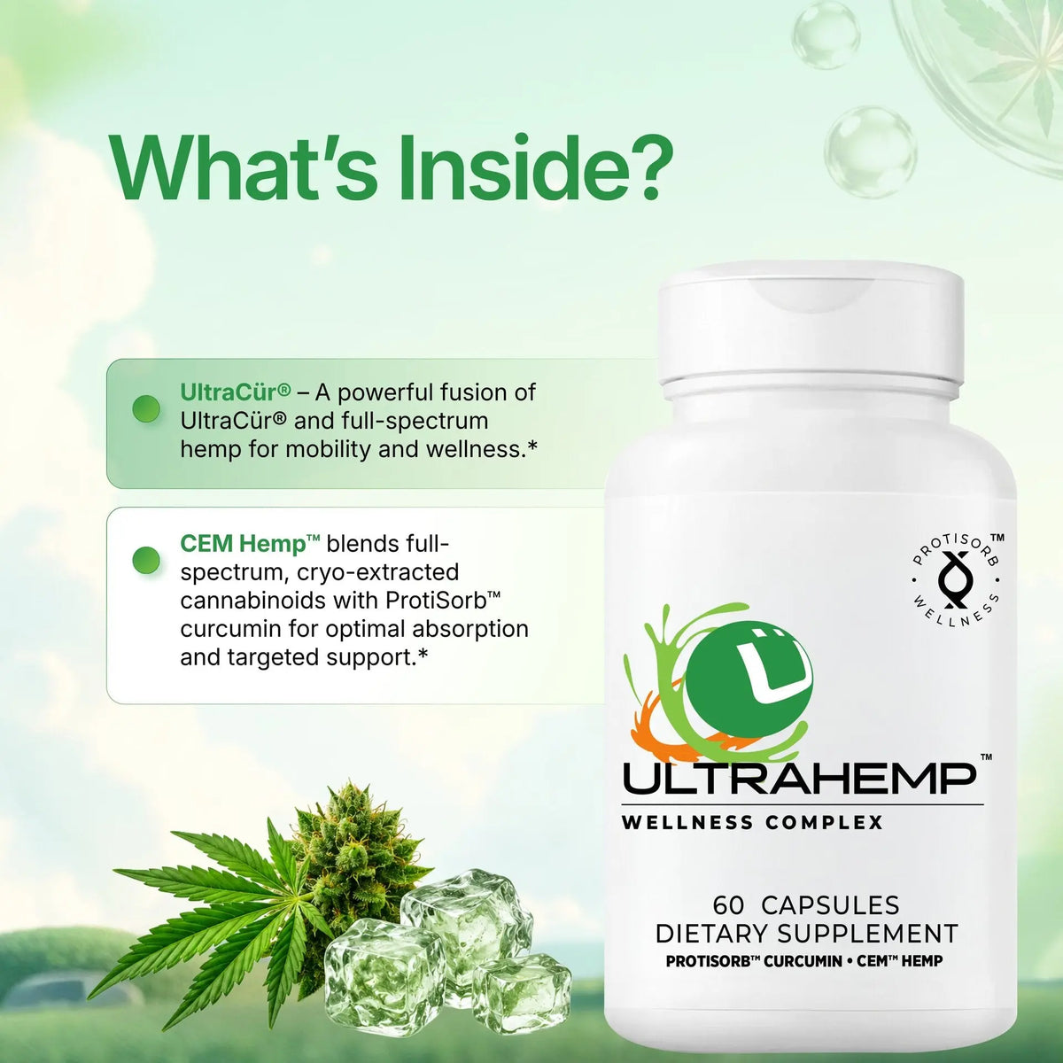 UltraHemp™ Mobility & Cellular Support (Curcumin + Full Spectrum Cannabinoid) Ultra Botanica
