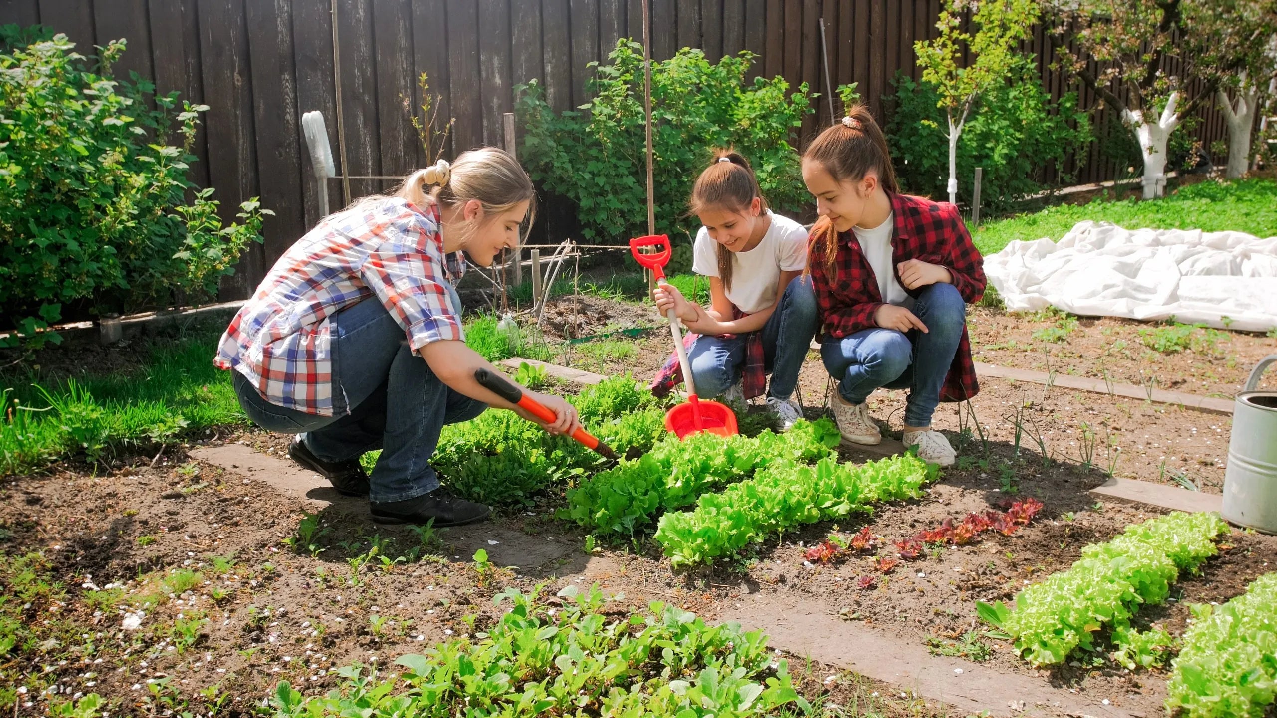 Essential Fall Gardening Tips for a Lush Autumn Harvest