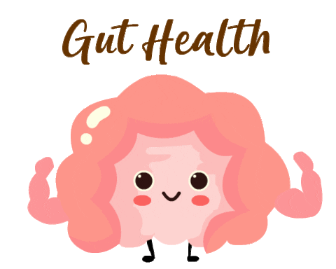 Gut Microbiome: Healthy Aging and a Healthy Heart